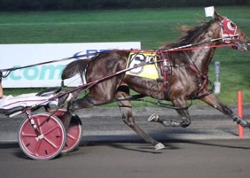Blazing speed from Nicholas Beach