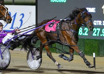 No denial – she is the fastest filly