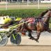 Ocean Rock favorite in $200,000 Battle of Lake Erie 3