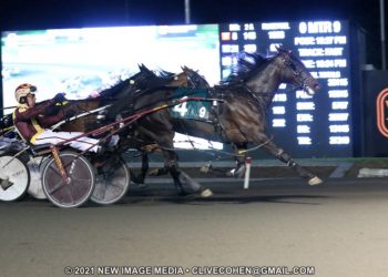 Parisian Blue Chip makes successful return