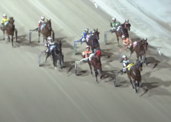 Pembrook Legacy N leaves mark with three straight