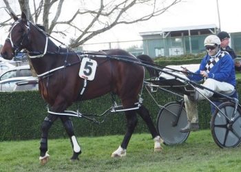 Pembrook Playboy two stone lighter