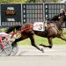 $33,400 Mongeon Series Final to Perfect Vixen