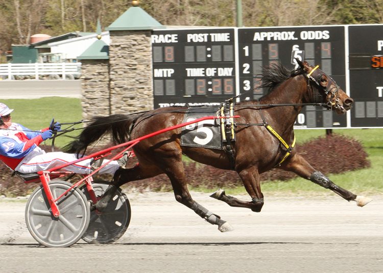 USA Harness Racing News Today | USA Racing News- Harnesslink