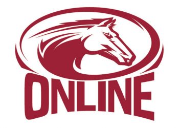 PEO has raked in $3.5m in sales