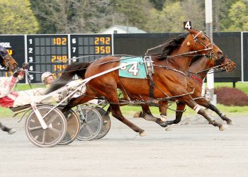 Probert makes winning debut at The Spa