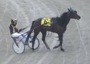 First win in two years for Ontario trainer