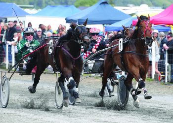 Outstanding lineup of freshman sires debut on 26 May