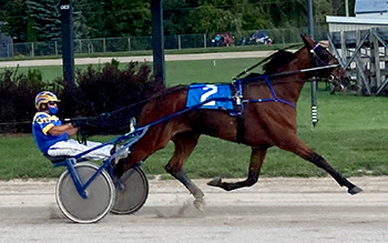 Eight-year-old equals career best in London Preferred