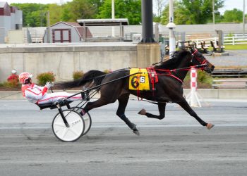 Team Davis dominates Harrington card