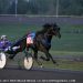 New fastest sophomore trotting male in Canada