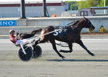 Veteran pacer records 59th win