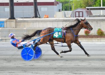 Front-end works for Sprocket