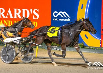 Weekly spotlight on breeding