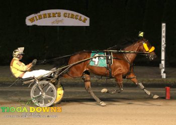 Talk Show Chica best among top Tioga mares