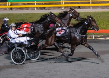 Second Group win for Tim’s A Trooper
