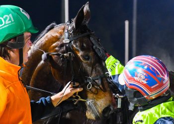 “I just love this horse”