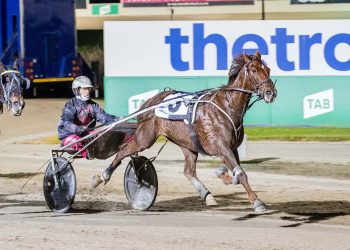 Love You, Used To Me get gongs in Victoria