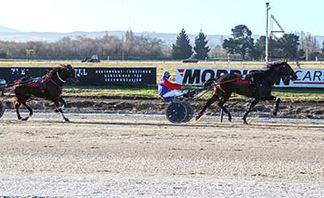 Bright future tipped for son of Always B Miki