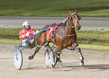 Son of Auckland Reactor prepares for major target