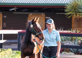 Woodlands weanlings set to shine