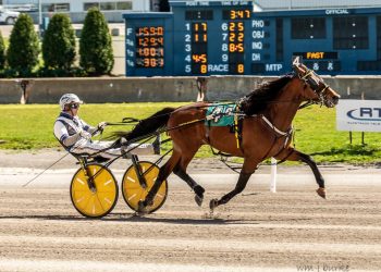 Stop Action, Barn Hall grab co-features