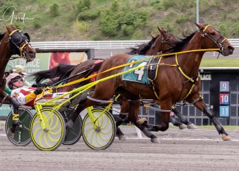 Gate-to-wire score for Blue Ivy