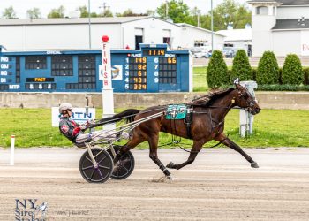 $115,600 NYSS to son of Chapter Seven