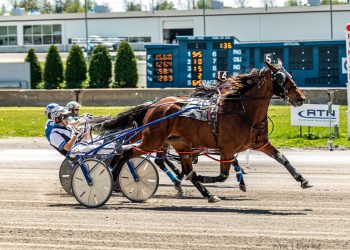 Coming from off the pace works for Dontustopbelievn N