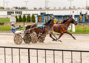 Sarama-Torcello combo nearly perfect