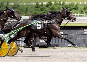 Icanflylikeanangel fights like a warrior