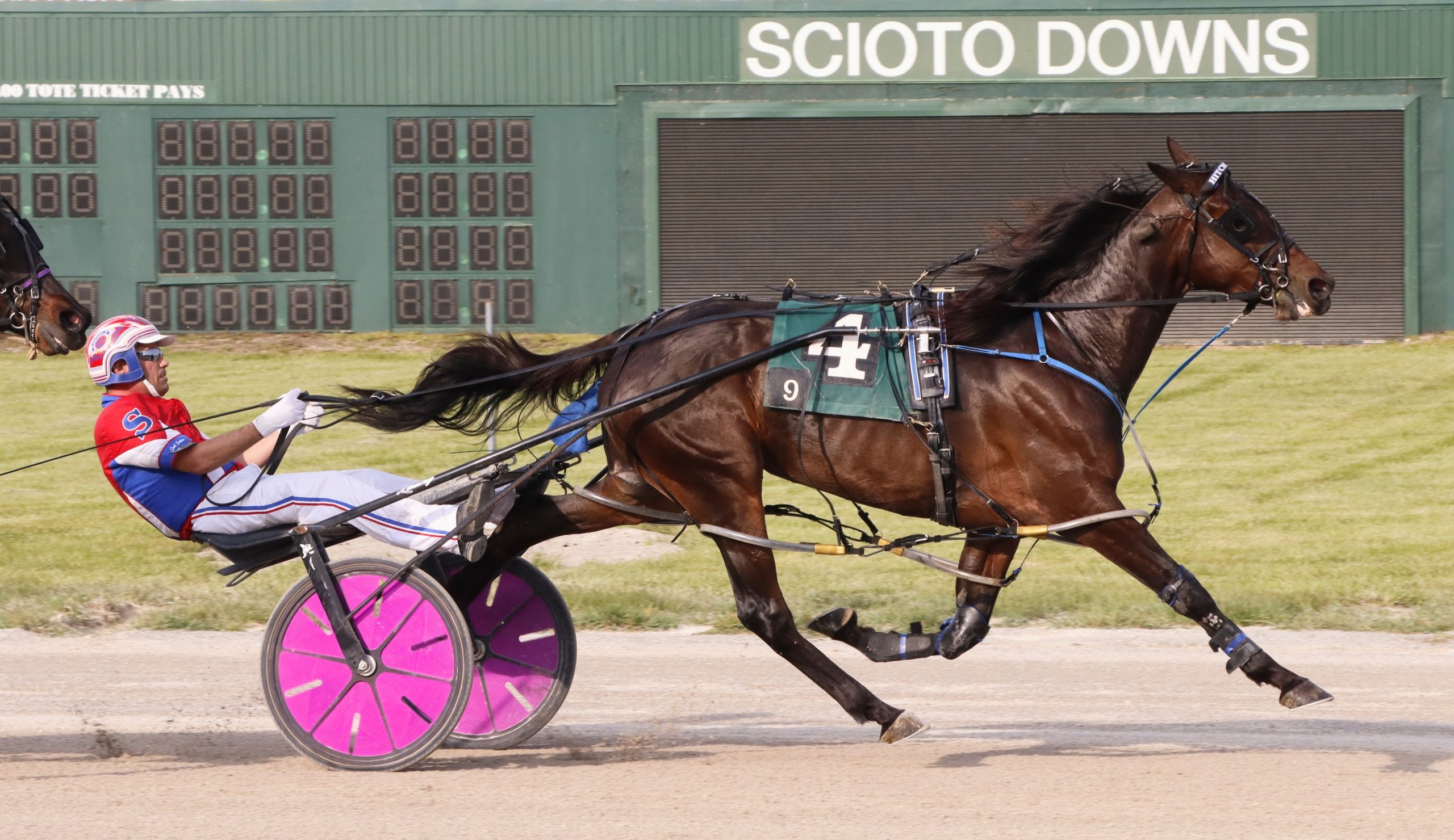 Pick 8 hit opening night at Scioto Downs Harnesslink