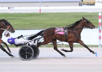 11 divisions Buckeye Stallion Series in the books