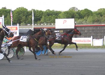 Big crowd at Plainridge for Memorial Day