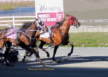 Lifetime mark set in Plainridge feature