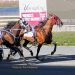 Lifetime mark set in Plainridge feature