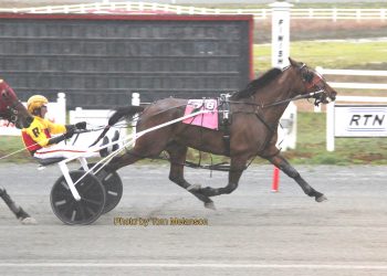 Points North able to stay unbeaten