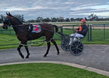 Age no barrier for Irishmurphy