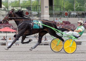 Longshots take $133,980 PA Sire Stakes