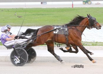 Buckeye Series sees lifetime marks each division