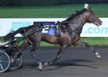 Rattle My Cage sharpest of Svanstedt deo