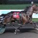 Carbine upsets Charlie May in Graduate