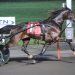 Takter trainees impress in NJSS splits