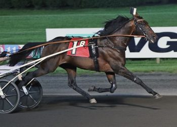 A sublime Saturday at The Meadowlands