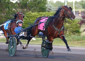 NA Cup hopefuls star in $161,000 Somebeachsomewhere