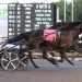 Can Silver Label sweep in $84,500 Ontario Graduate Final? 1 NA Cup elims complete; Roses Are Red, Fan Hanover fields drawn