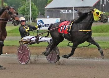 Heartofgold Devie scores upset in Open Trot