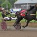 Heartofgold Devie scores upset in Open Trot