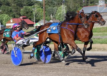 Harringtons enjoy big day at Cumberland