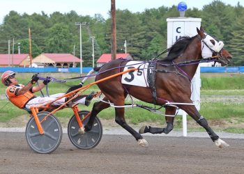 Airspindler returns victorious to Cumberland